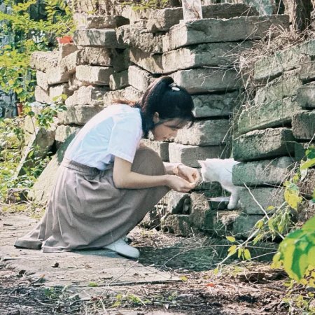 Zhao Jin Mai