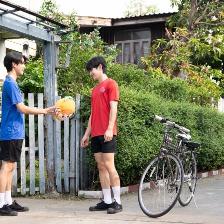 When Oranges Fall Behind the Scenes (2026)