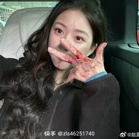 Zhao Lu Si