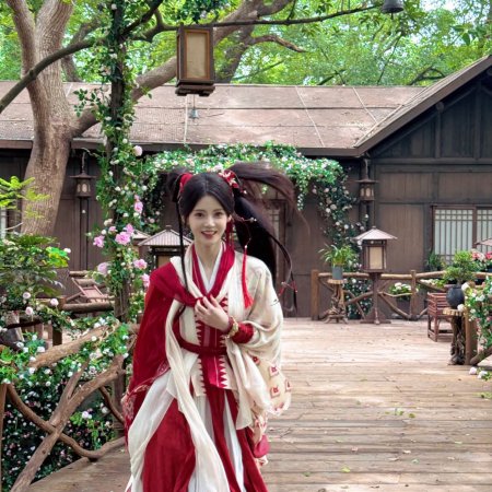 The Legend of Lu Xiaofeng ()