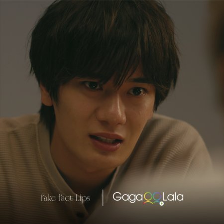 Fake Fact Lips (2026)