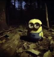 Awoogaaaaa57