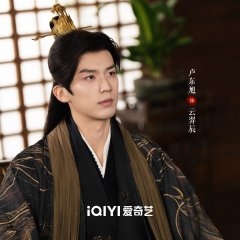 Phoenix's Gambit: Love or Crown Chinese Drama photo