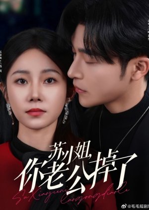 Su Xiao Jie, Ni Lao Gong Diao Le poster