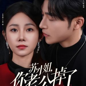 Su Xiao Jie, Ni Lao Gong Diao Le (2025)