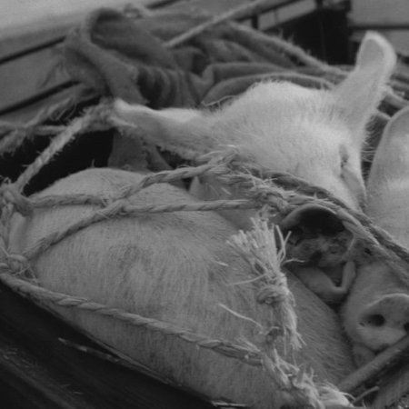 Pigs and Battleships (1961)