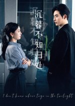 I Don't Know Where to Go in the Twilight Chinese Drama photo