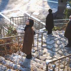 Mimang Korean Movie(2023) photo