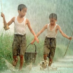 The Crying Wind Japanese Movie photo