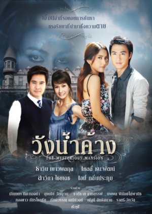 Wung Nam Karng (2009) poster