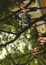 The Rendezvous Thai Movie(2024) photo