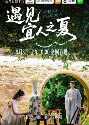 Meeting Grass Linen (2025) poster
