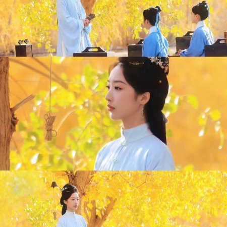 The Road to Splendor ()