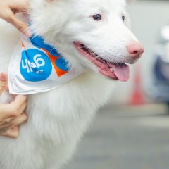 Gohan Thai Movie photo