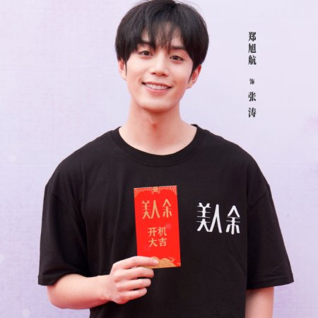 The Vanishing Beauty ()