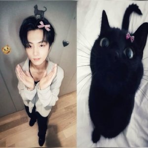 15071928