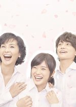 Blossoms Bloom Japanese Movie photo