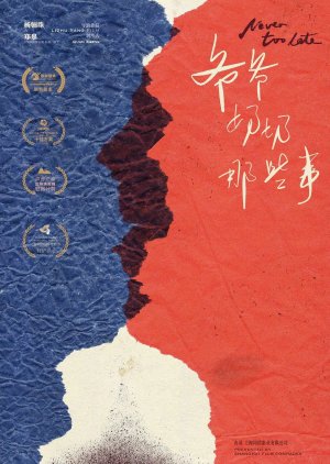 Never too Late (2024) poster