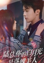 The CEO's Downtrodden Belle Chinese Drama(2024) photo