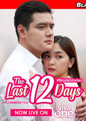 The Last 12 Days (2024) poster