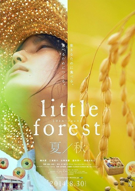 image poster from imdb, mydramalist - ​Little Forest: Summer & Autumn (2014)