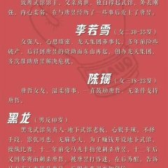 Boxing King: Double Dragon Chinese Drama photo