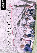 I Fell in Love Today Season 8 Japanese TV Program photo