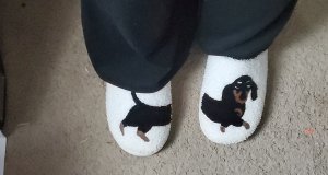 MYDAMNBUISNESSISTHEBESTB