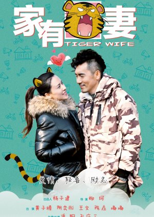 A Tiger Wife (2015) poster