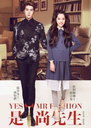 Yes! Mr. Fashion (2016) poster