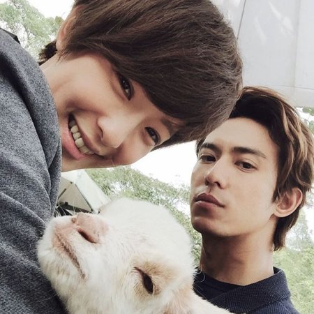 Kamisama no Boto  (2013)