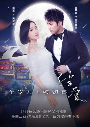 The Love Knot: His Excellency’s First Love (2018) poster