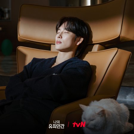Love in Disguise (2026)