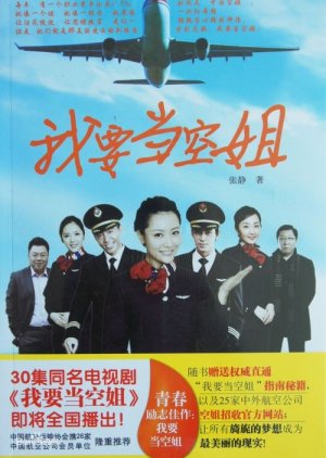 I Want to Become a Stewardess (2013) poster