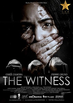 The Witness (2012) poster