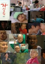 Daddy Fish Korean Drama photo