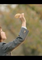 Your Lie in April Japanese Movie photo