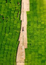 The Memory of Water Korean Movie photo