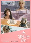 Monkey and Dog Romance korean drama review