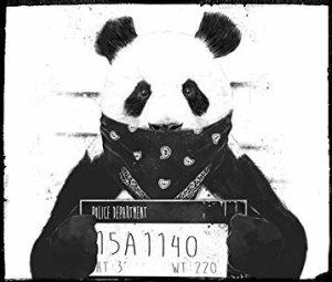 AnonymousPanda