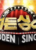 Hidden Singer Season 2 (2013) photo