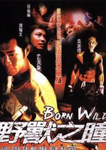 Born Wild Hong Kong Movie photo
