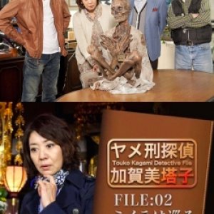 Touko Kagami Detective File FILE:02 (2012)