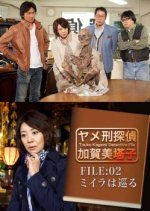 Touko Kagami Detective File FILE:02 Japanese Drama photo
