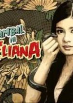 Eliana's Twin Philippines Drama photo