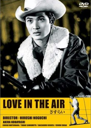 Love in the Air (1962) poster
