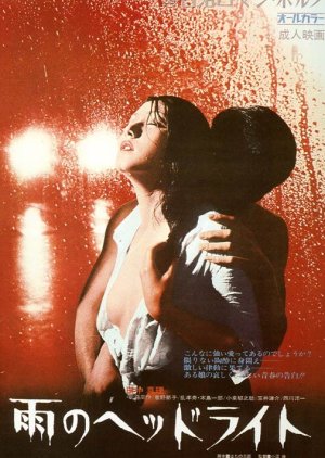 Headlights in the Rain (1972) poster