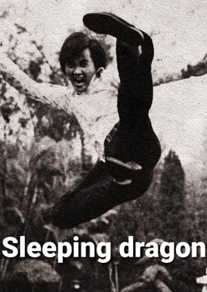 Sleeping Dragon (1975) poster