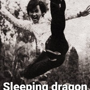 Sleeping Dragon (1975)