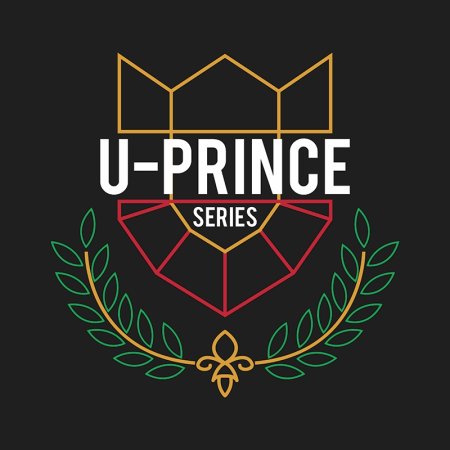 U-Prince The Series:  The Handsome Cowboy (2016)